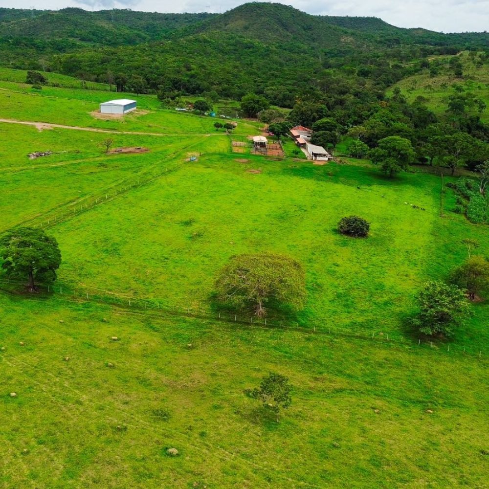 WhatsApp Image 2025-06-25 at 09.19.19 (1)