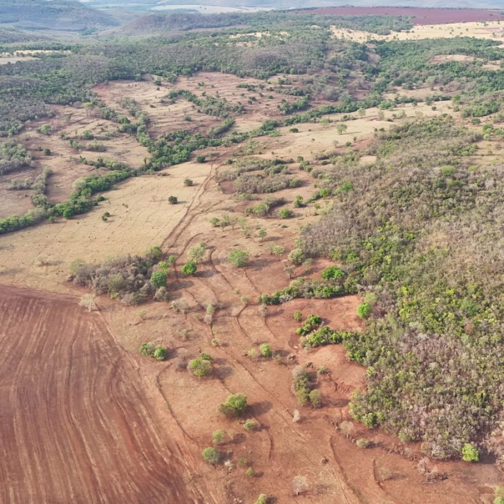 WhatsApp Image 2025-06-26 at 09.03.05 (1)