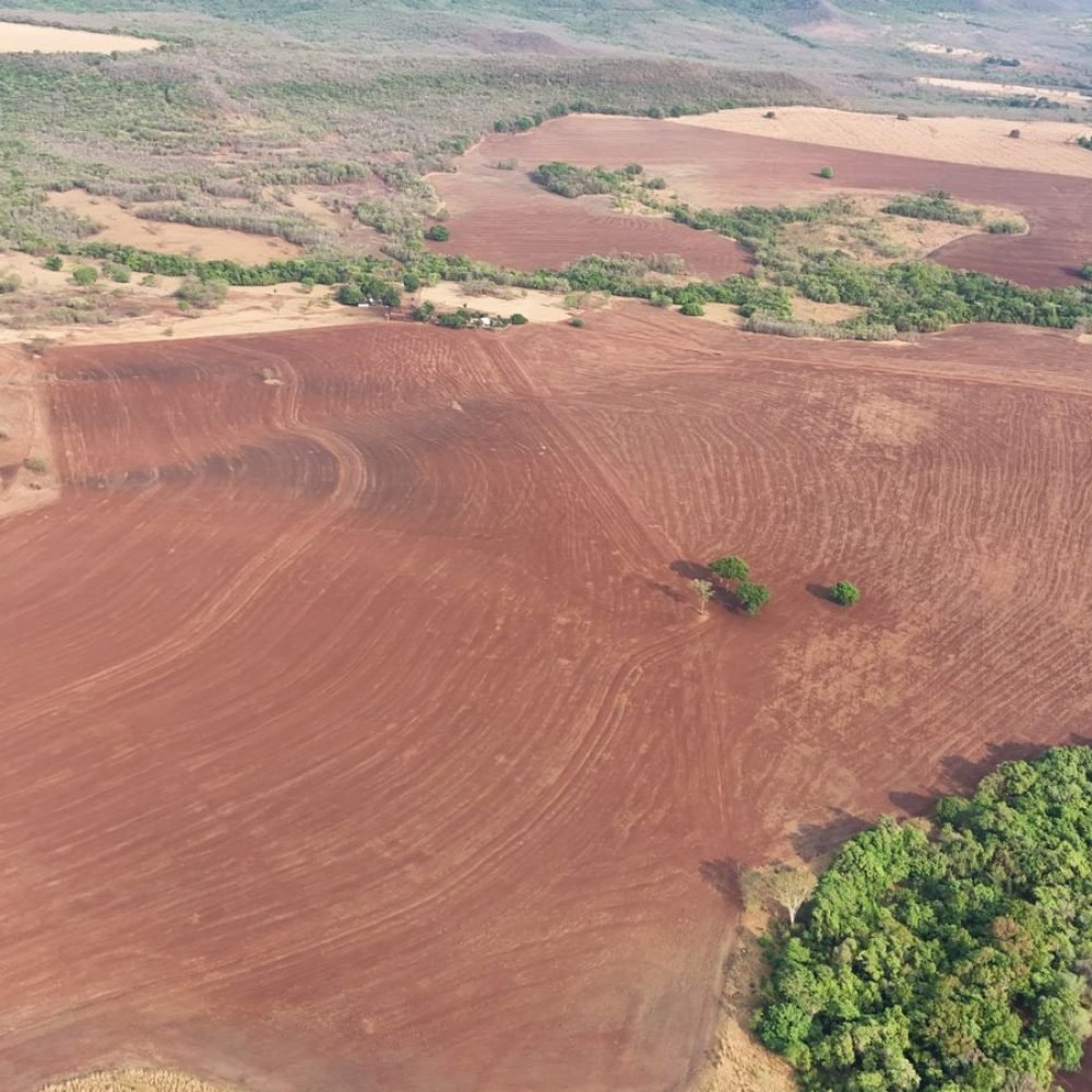 WhatsApp Image 2025-06-26 at 09.03.06