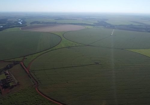 WhatsApp Image 2025-06-26 at 11.52.59 (1)