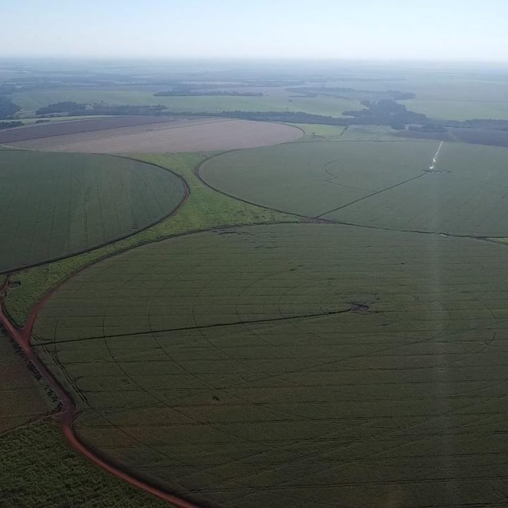 WhatsApp Image 2025-06-26 at 11.52.59