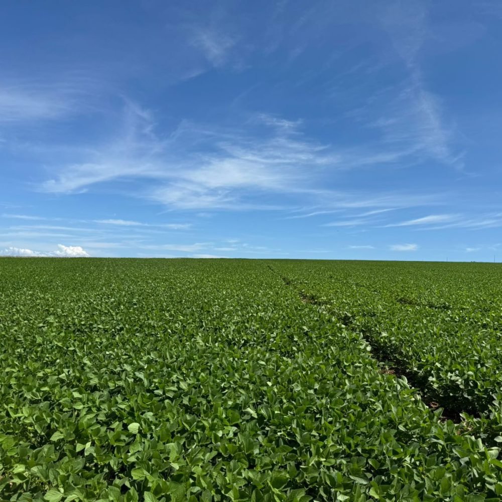 WhatsApp Image 2025-06-26 at 15.15.15