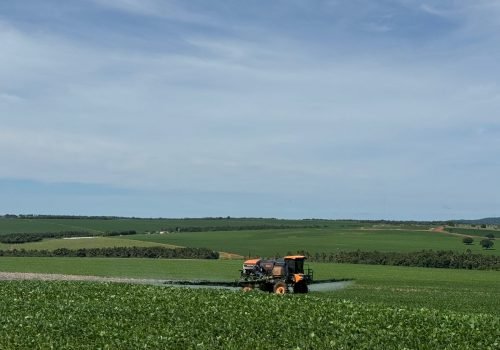 WhatsApp Image 2025-06-26 at 15.15.16 (1)