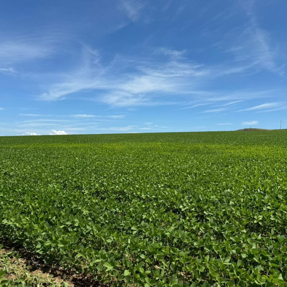 WhatsApp Image 2025-06-26 at 15.15.16 (3)