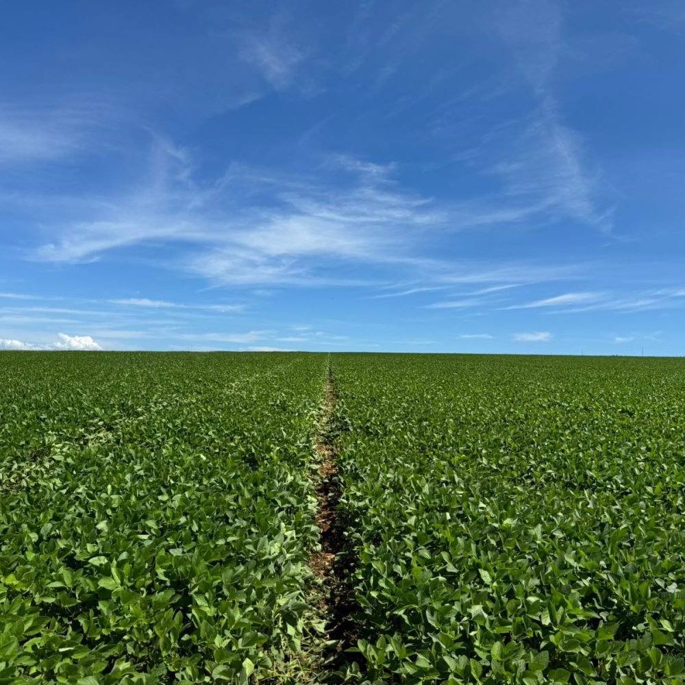 WhatsApp Image 2025-06-26 at 15.15.16