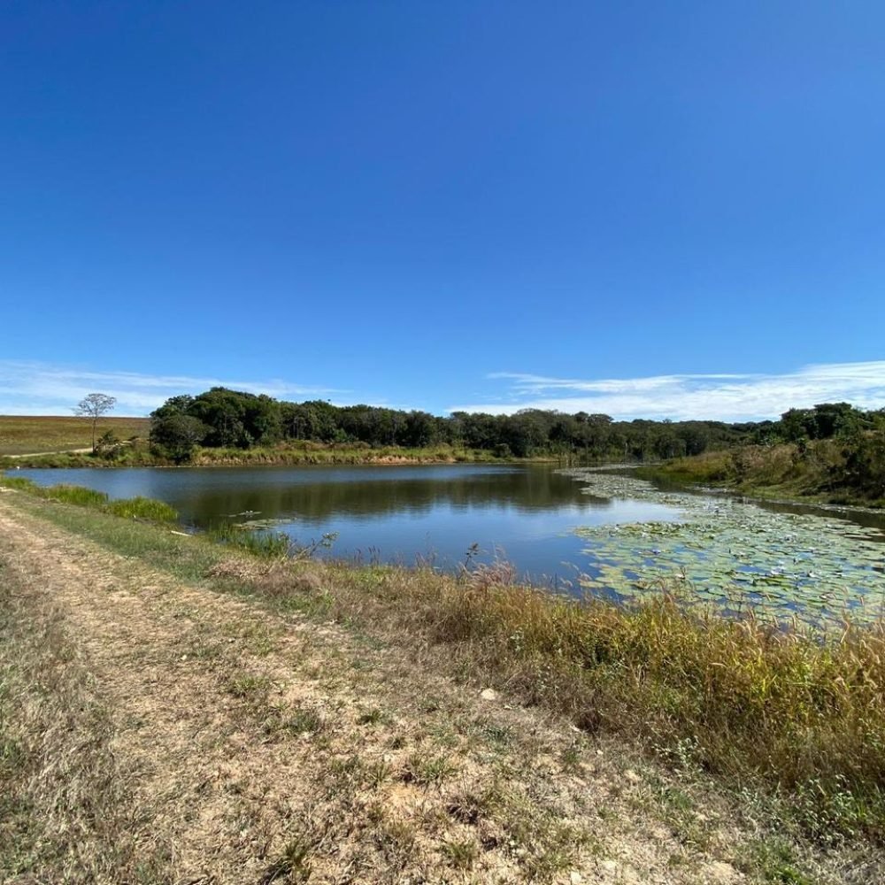 WhatsApp Image 2025-06-26 at 18.00.11