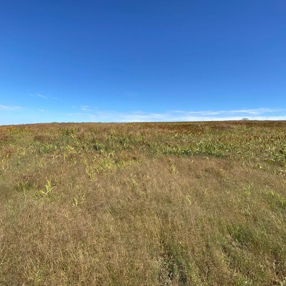 WhatsApp Image 2025-06-26 at 18.00.13