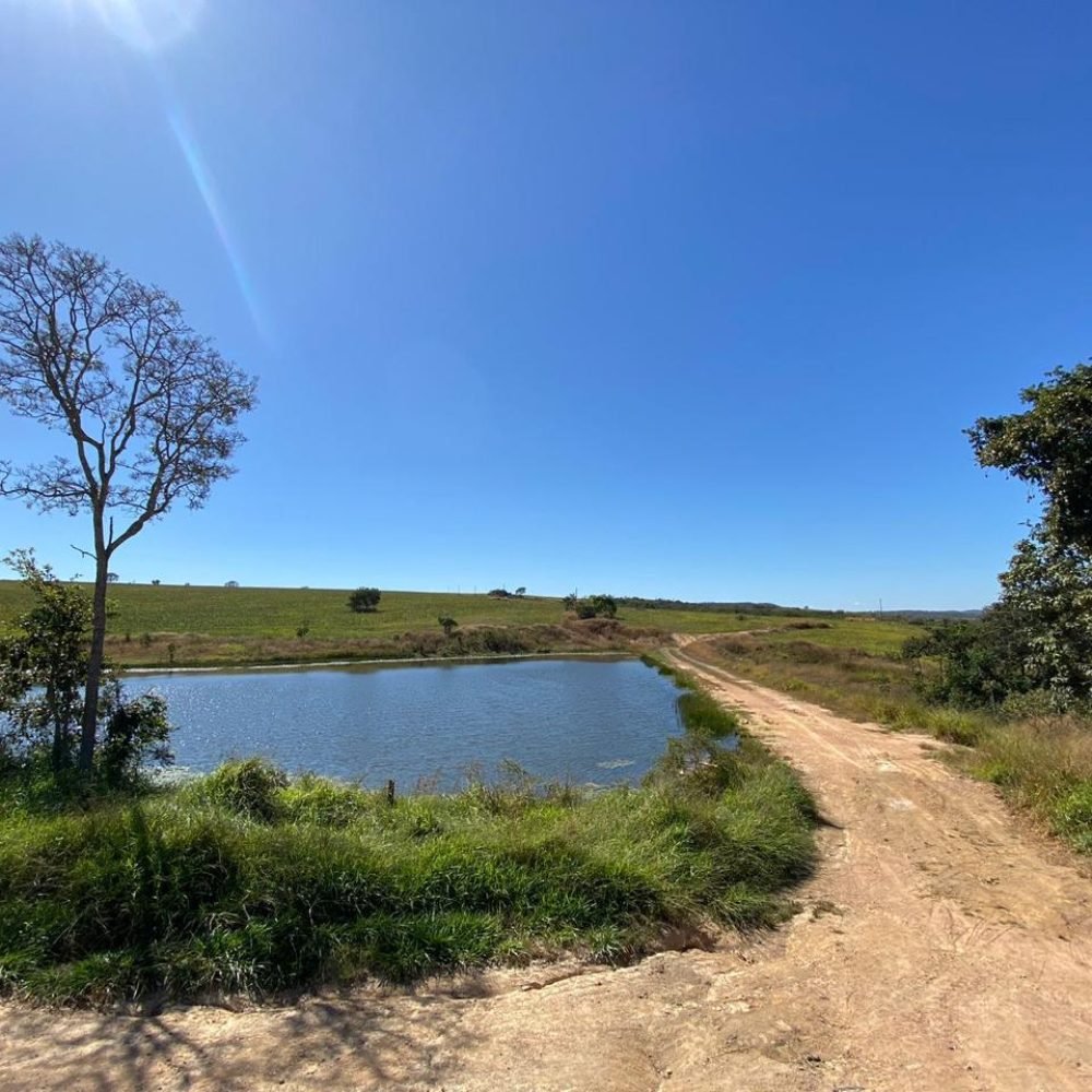 WhatsApp Image 2025-06-26 at 18.00.14 (2)