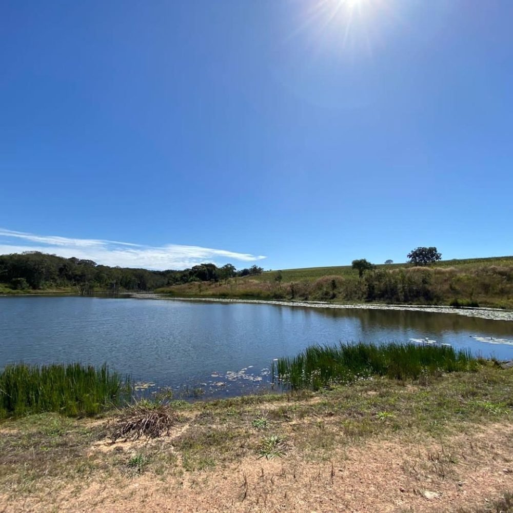 WhatsApp Image 2025-06-26 at 18.00.14