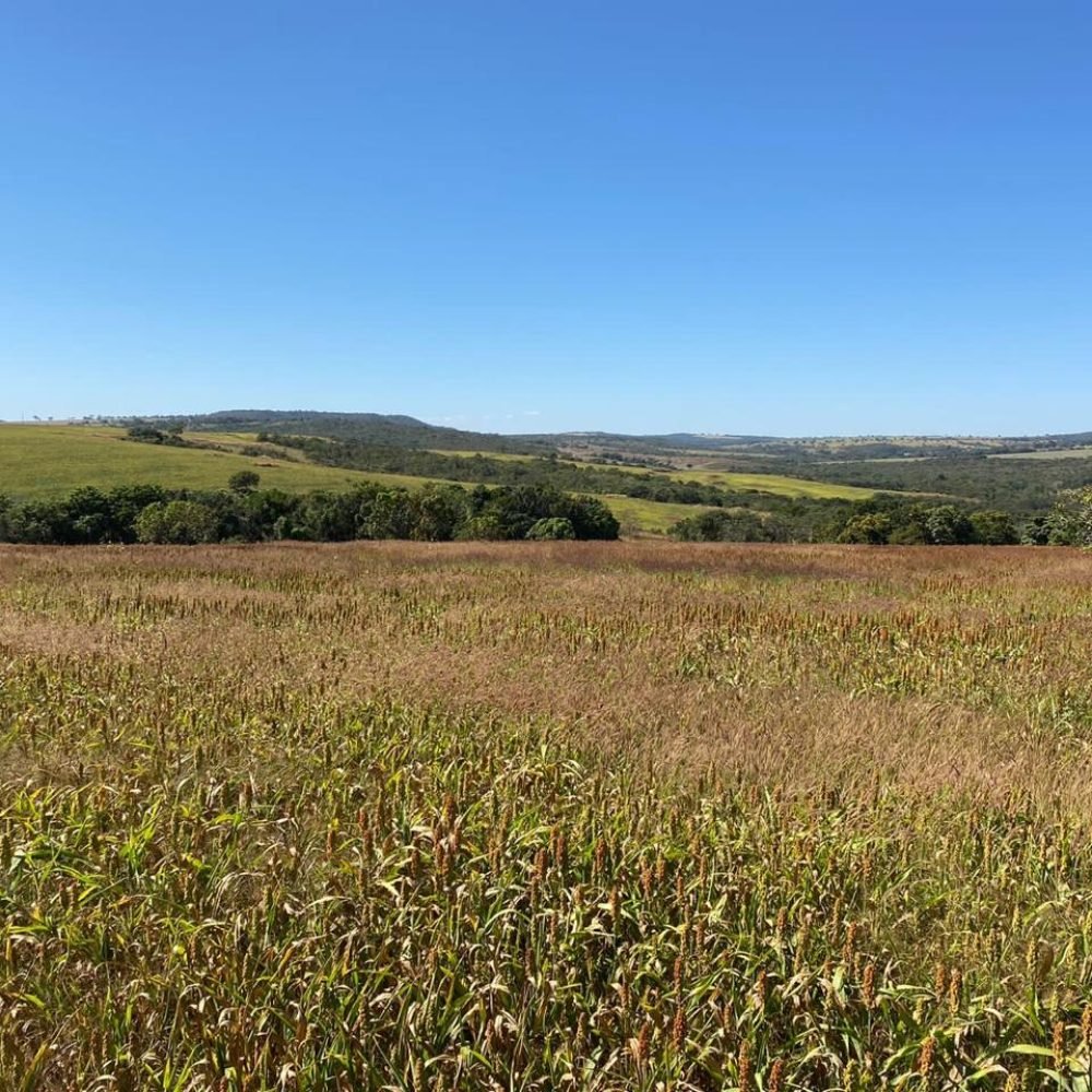 WhatsApp Image 2025-06-26 at 18.00.16 (1)