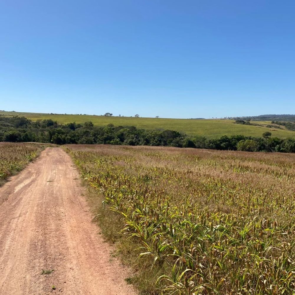 WhatsApp Image 2025-06-26 at 18.00.16