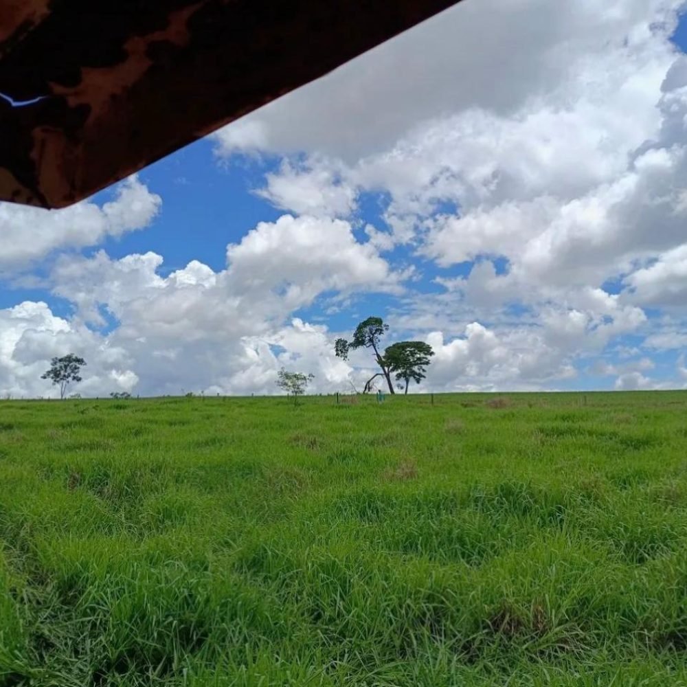 WhatsApp Image 2025-06-27 at 08.57.58