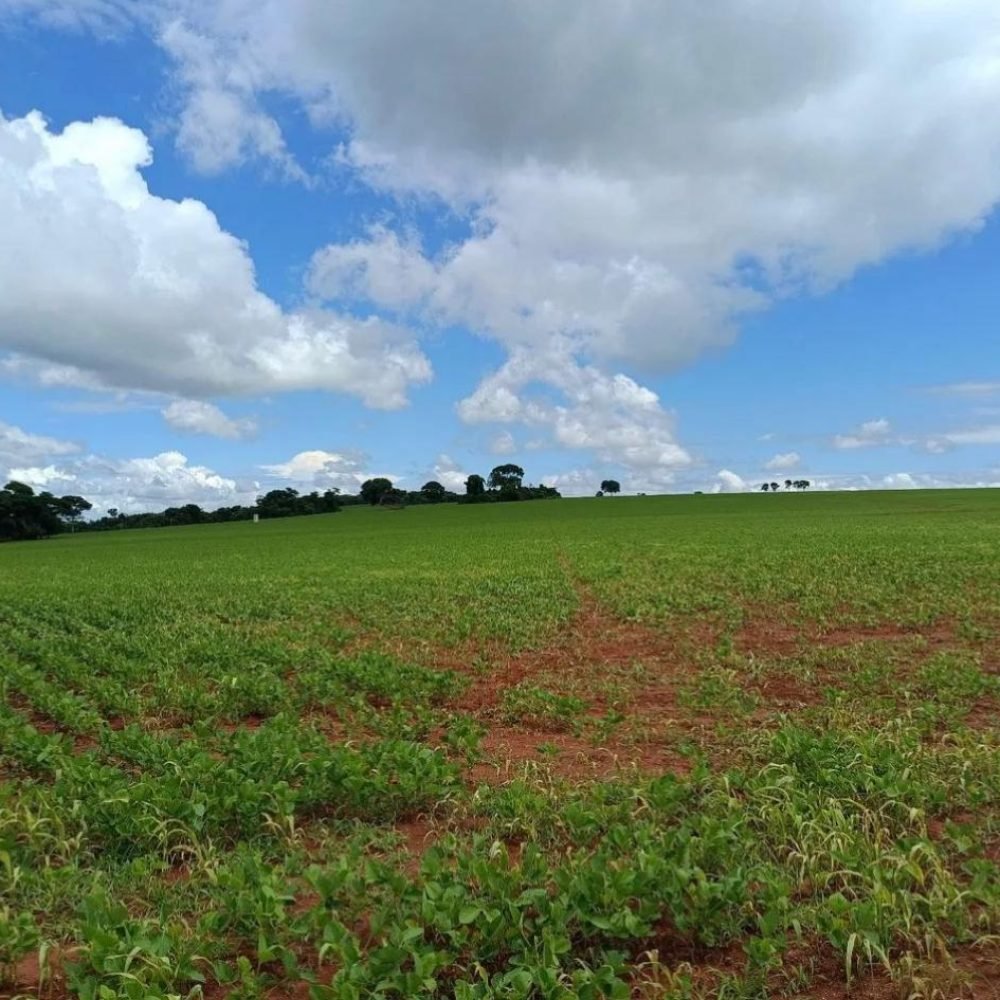 WhatsApp Image 2025-06-27 at 08.57.59 (1)