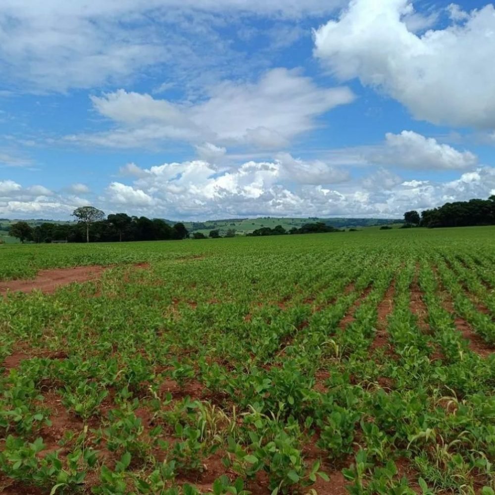 WhatsApp Image 2025-06-27 at 08.57.59 (2)