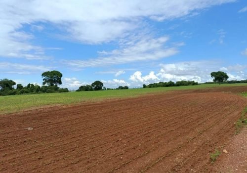 WhatsApp Image 2025-06-27 at 08.57.59 (3)