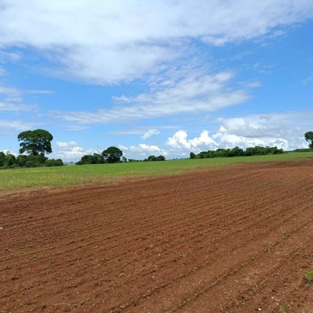 WhatsApp Image 2025-06-27 at 08.57.59 (3)