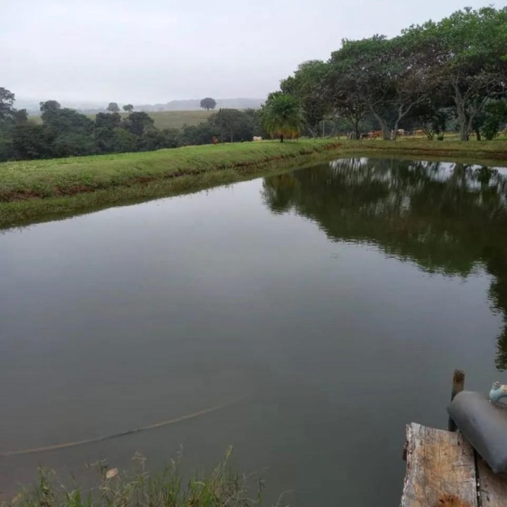 WhatsApp Image 2025-06-27 at 08.57.59 (5)