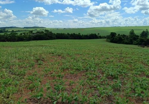 WhatsApp Image 2025-06-27 at 08.57.59 (6)