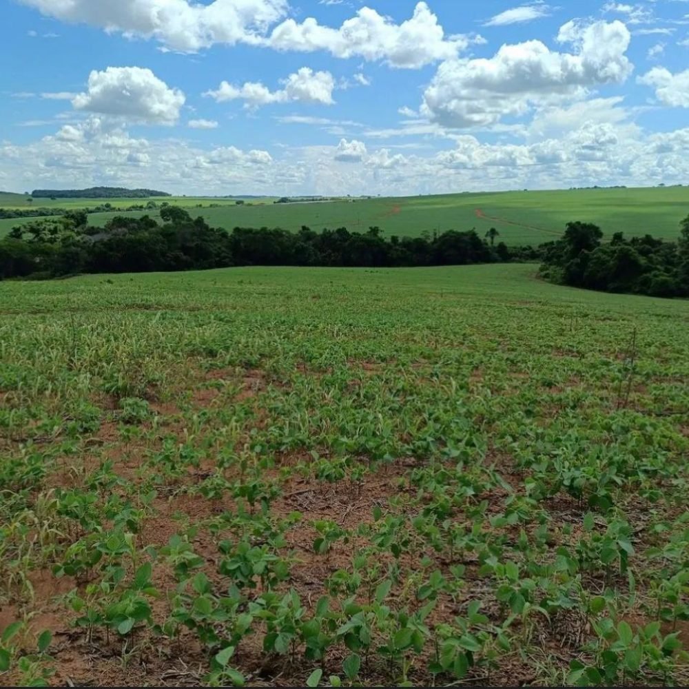 WhatsApp Image 2025-06-27 at 08.57.59 (6)