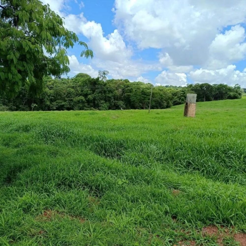 WhatsApp Image 2025-06-27 at 08.57.59