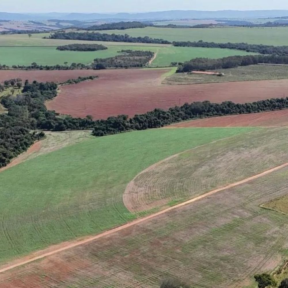 WhatsApp Image 2025-06-27 at 09.22.55 (1)