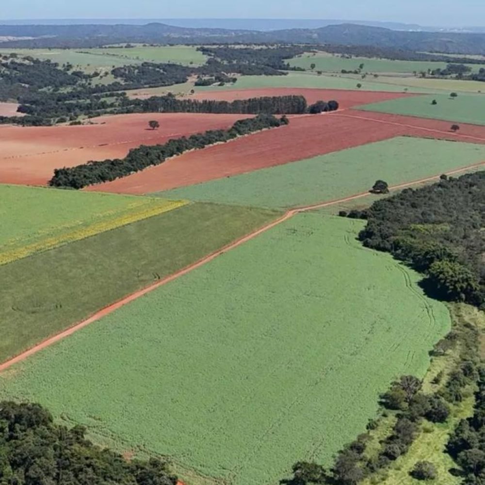 WhatsApp Image 2025-06-27 at 09.22.55 (3)