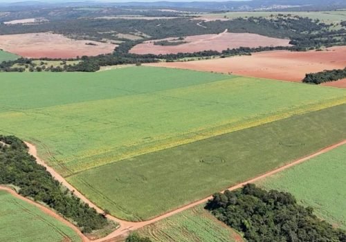 WhatsApp Image 2025-06-27 at 09.22.55