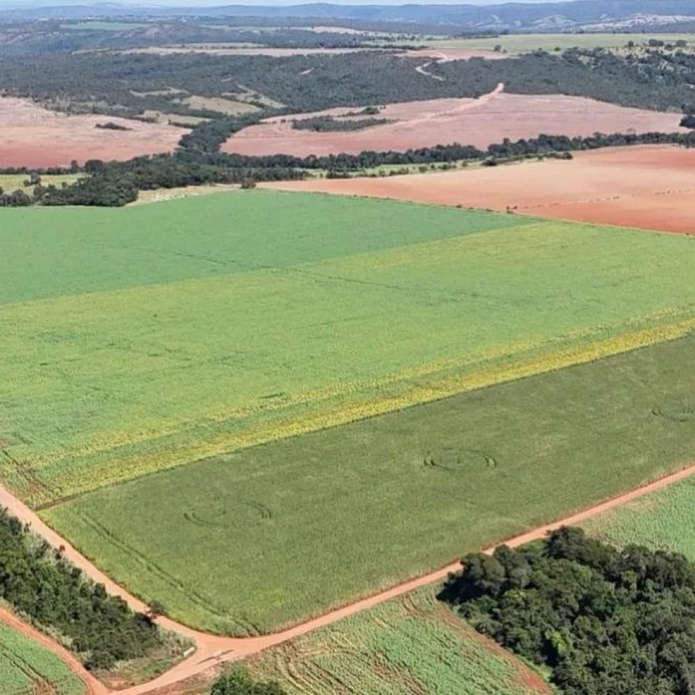 WhatsApp Image 2025-06-27 at 09.22.55