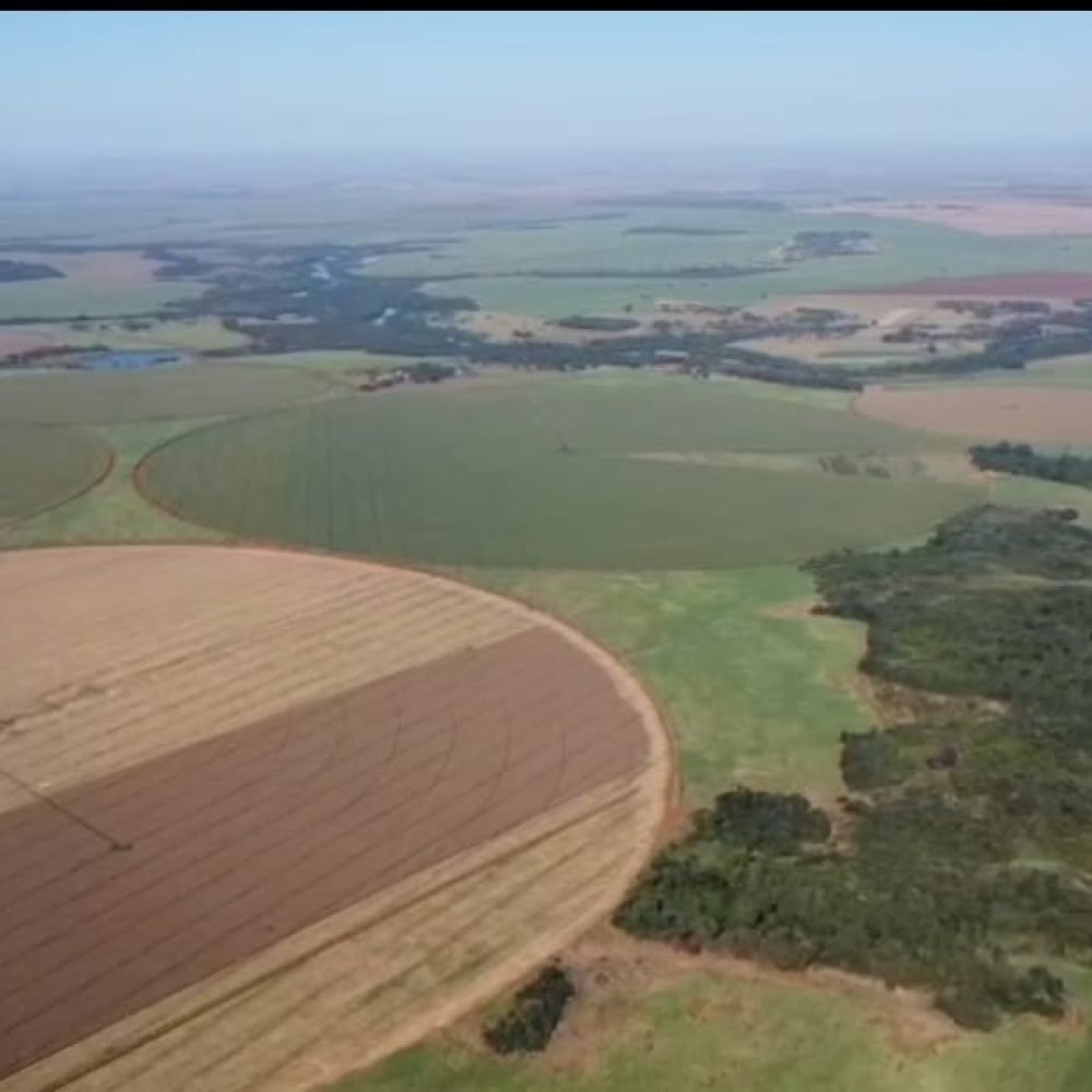 WhatsApp Image 2025-06-28 at 07.04.11