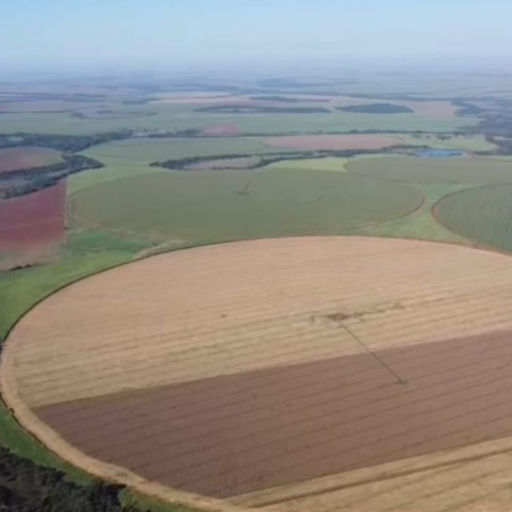 WhatsApp Image 2025-06-28 at 07.05.45