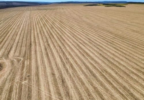 whatsapp-image-2025-06-11-at-11-59-251750220737074